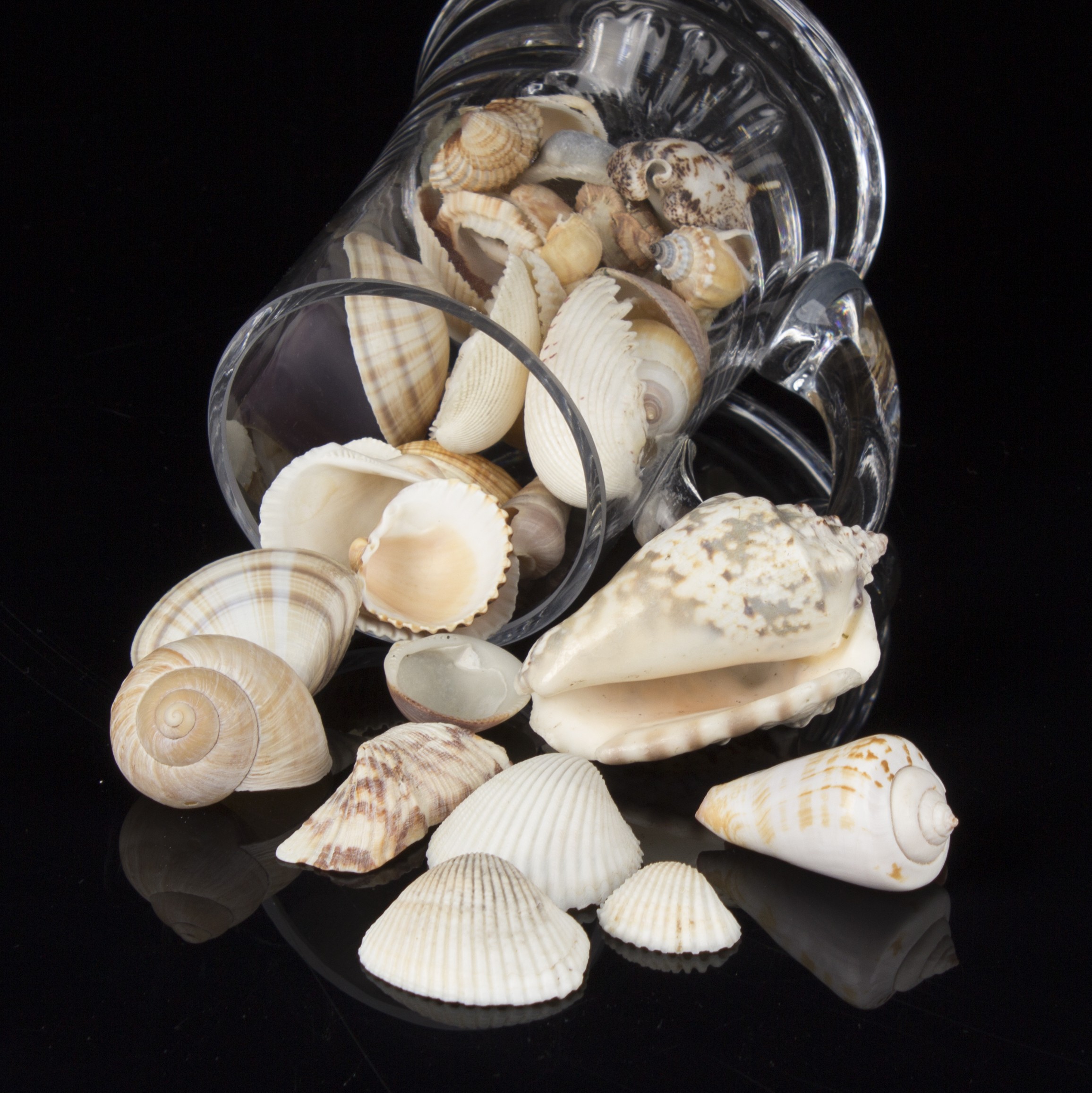 W_23-24_techn fotogr_Ir_Chwistek Oliwia_obiekt_S2_5